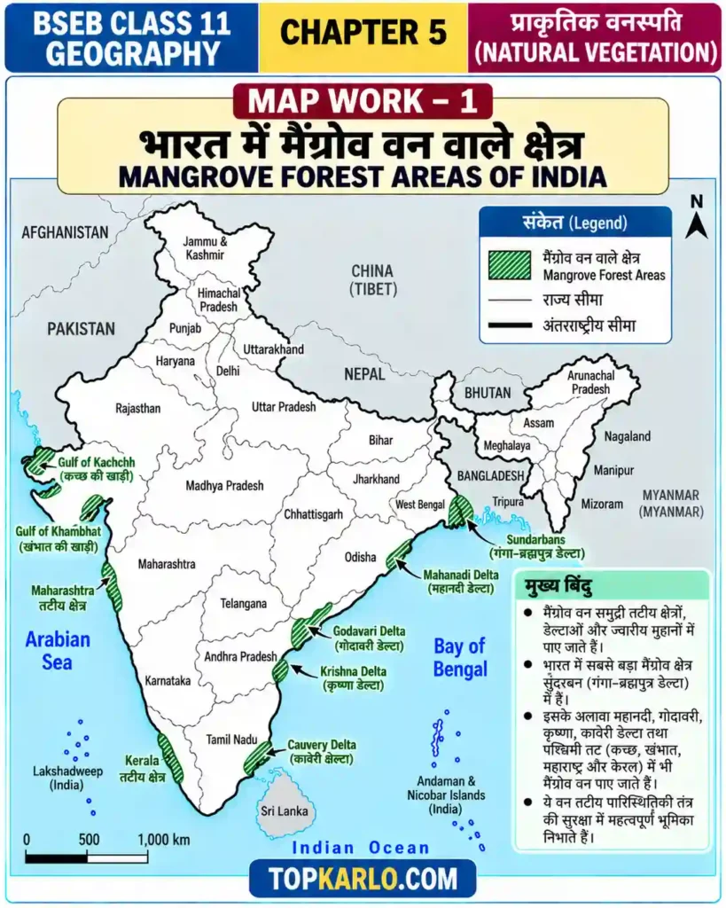 BSEB Class 11 Geography Chapter 5 Natural Vegetation – भारत में मैंग्रोव वन वाले क्षेत्रों का मानचित्र (Mangrove Forest Areas of India)